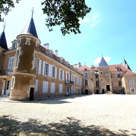 Chateau D'Island Vezelay Pontaubert Экстерьер фото