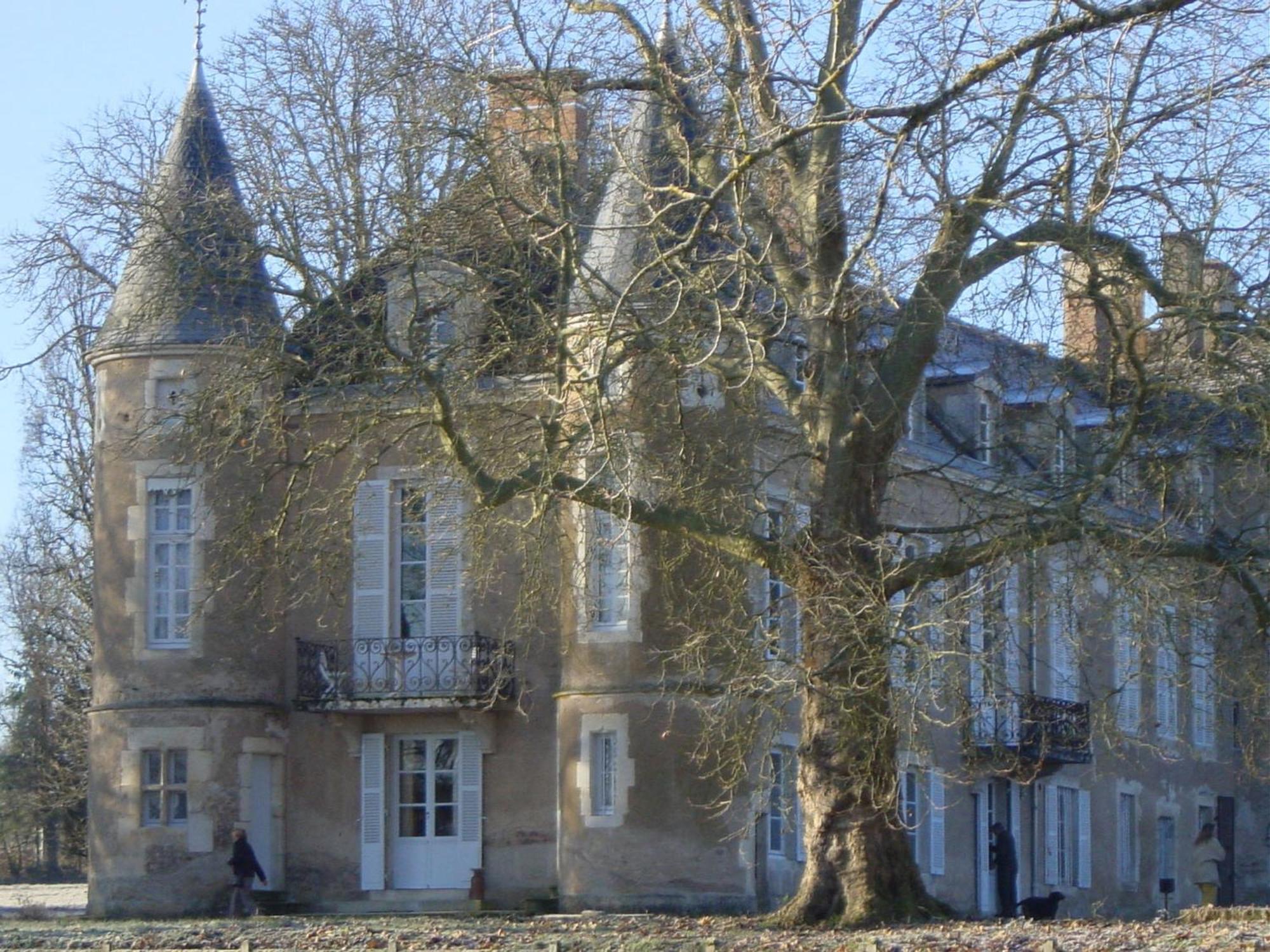 Chateau D'Island Vezelay Pontaubert Экстерьер фото