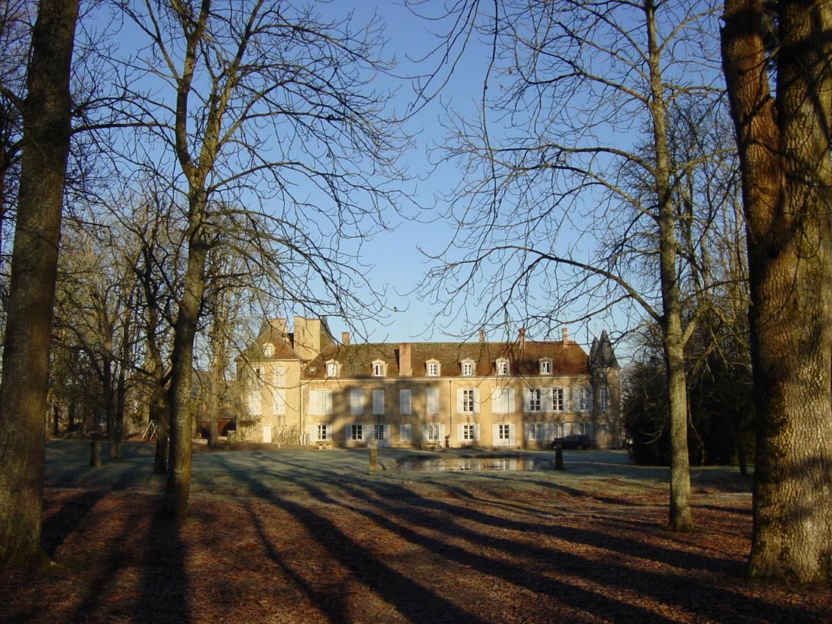 Chateau D'Island Vezelay Pontaubert Экстерьер фото