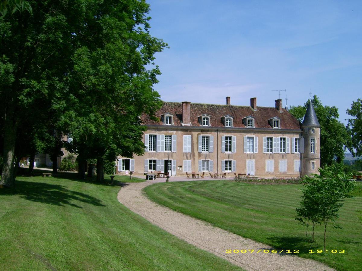 Chateau D'Island Vezelay Pontaubert Экстерьер фото