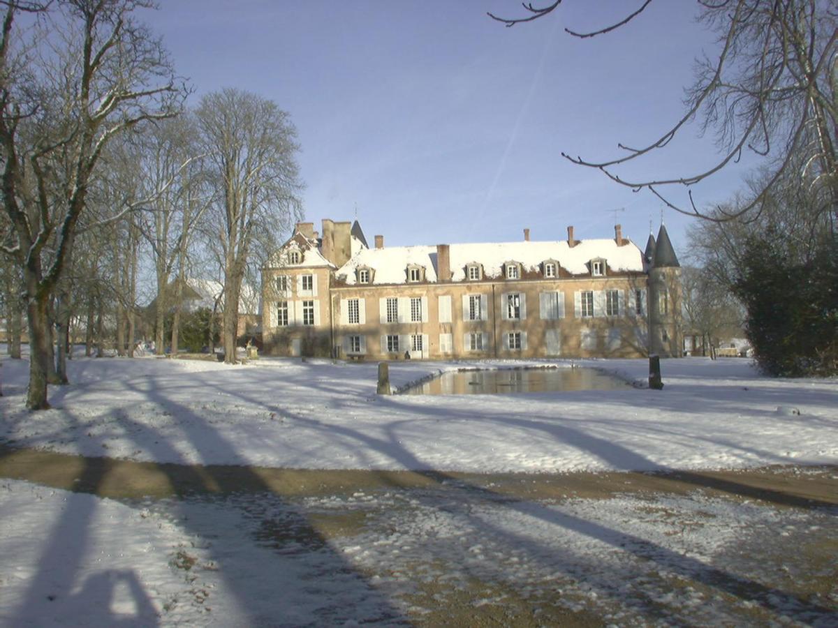 Chateau D'Island Vezelay Pontaubert Экстерьер фото